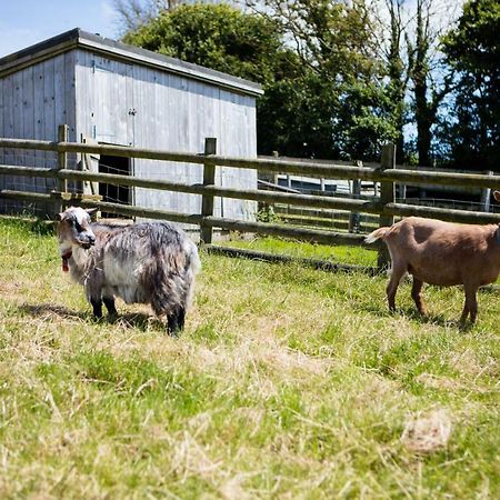 Sharlands Farm Holiday Cottages บู๊ด ภายนอก รูปภาพ