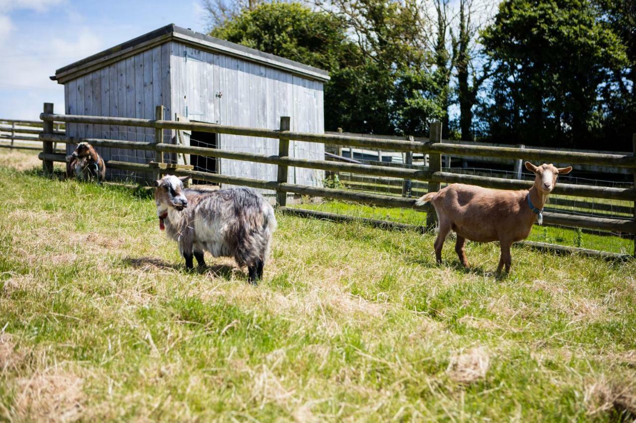 Sharlands Farm Holiday Cottages บู๊ด ภายนอก รูปภาพ