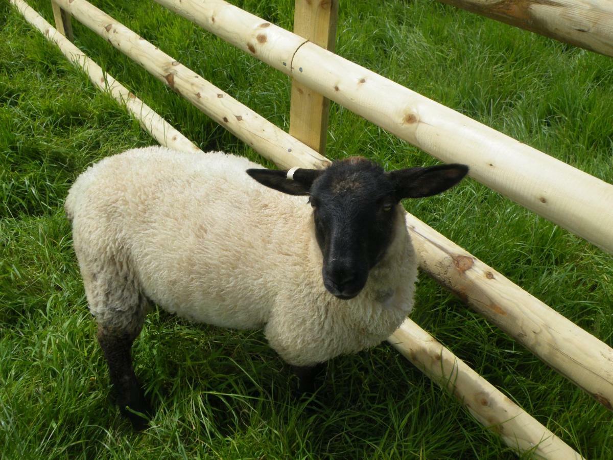 Sharlands Farm Holiday Cottages บู๊ด ภายนอก รูปภาพ